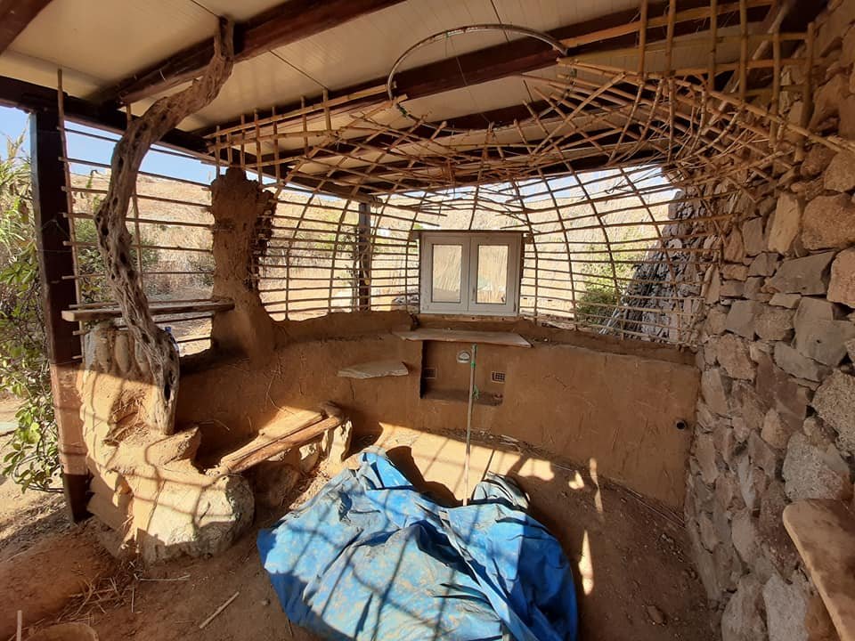 70137441_2493409227414124_3866247689192603648_n