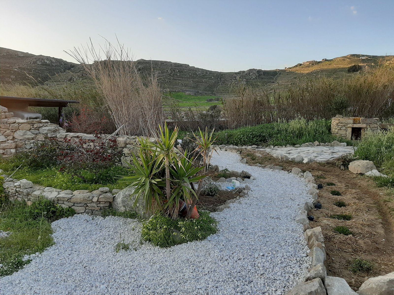 90442623_2896832100405166_3529167471707684864_n