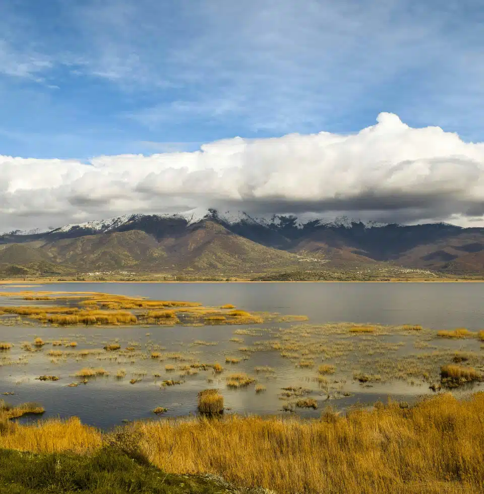 baxedaki-olive-oil-27